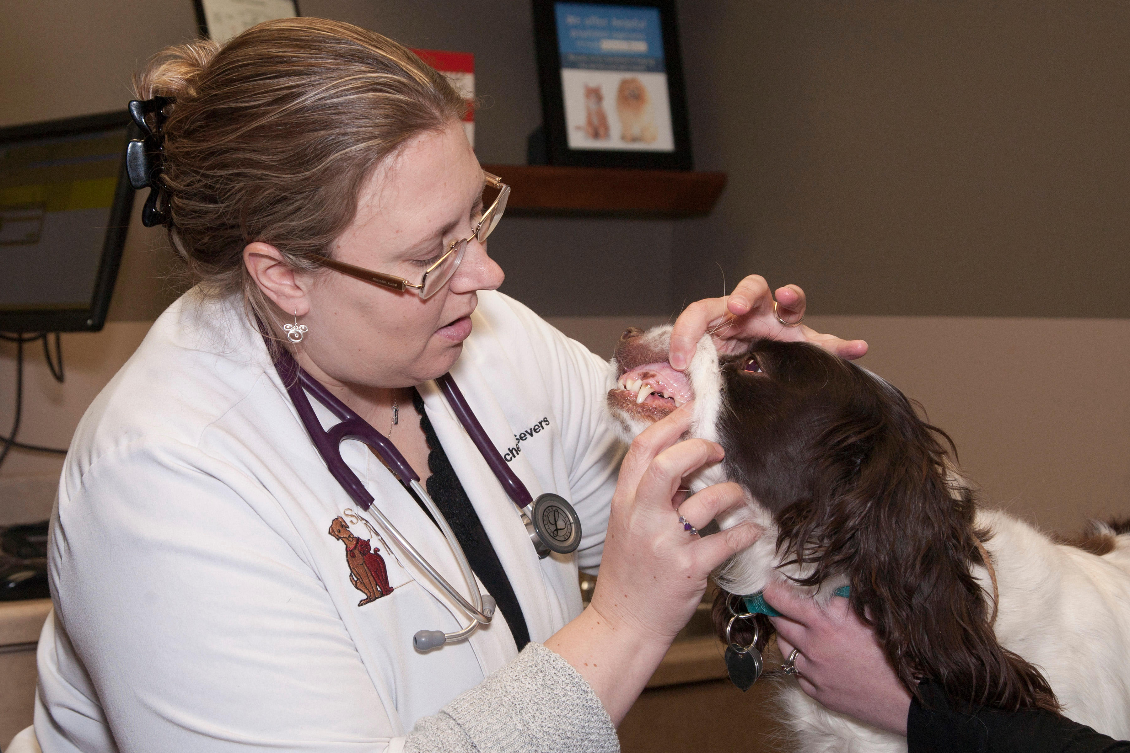 Proper dental care is not limited to human medicine. Pets need dental care too!