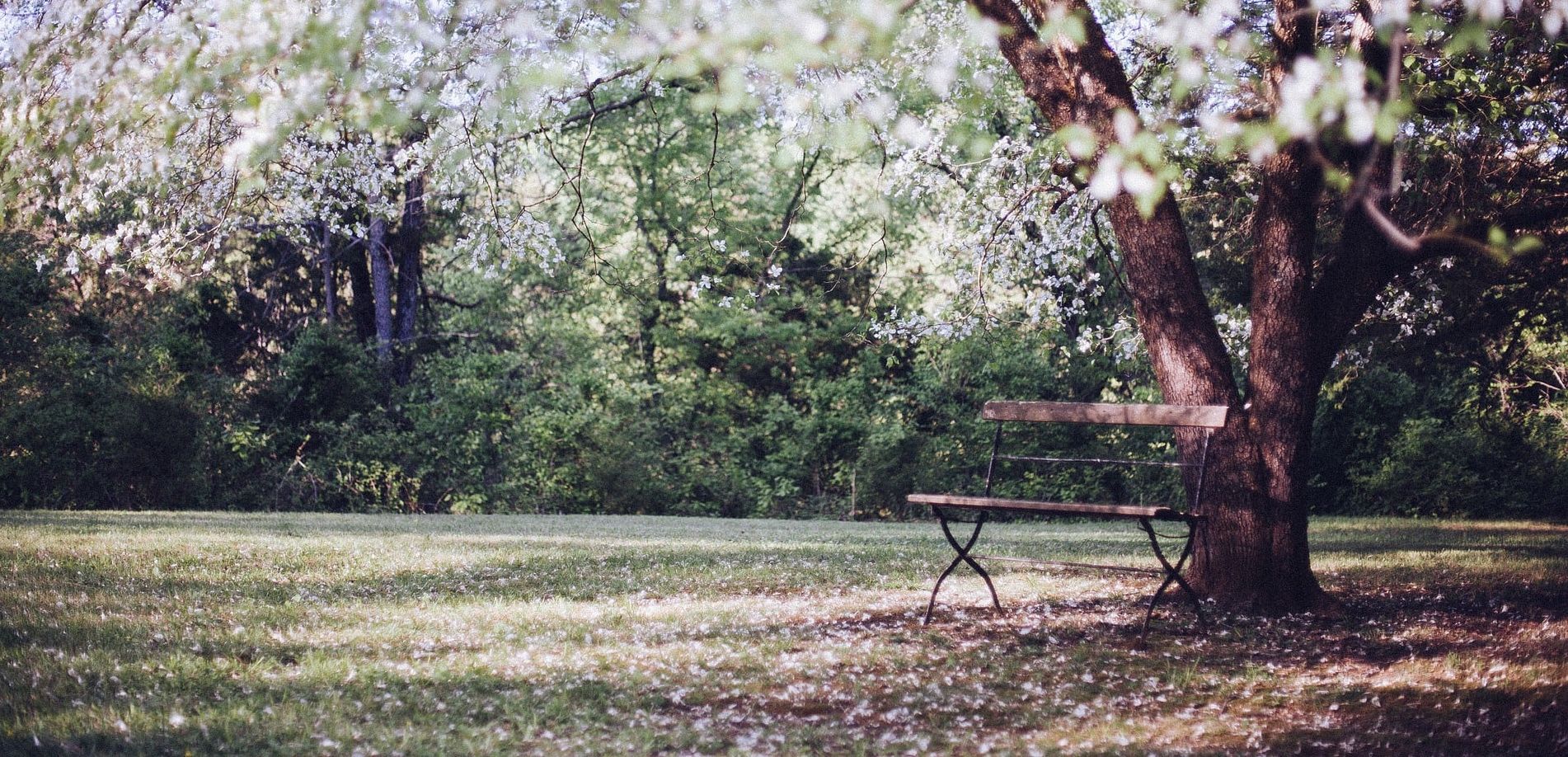 PÜTZ-SASSEN Bestattungen, Stammheimer Straße 120 in Köln