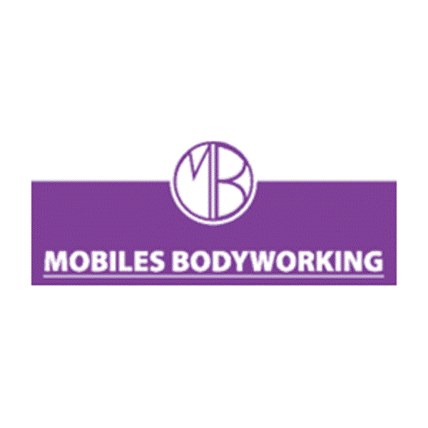 Mobiles Bodyworking, mobile Massage, Physioenergethik in 1220 Wien Logo