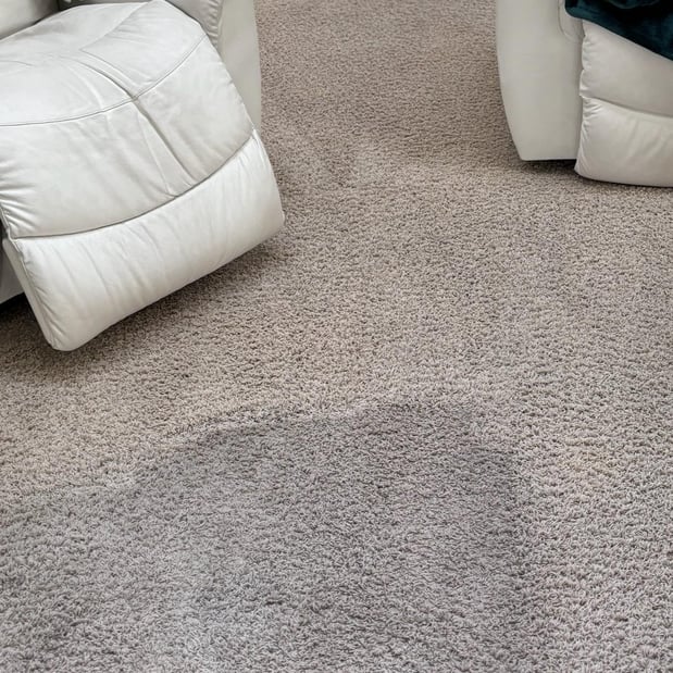 Images Renew Cleaning Services