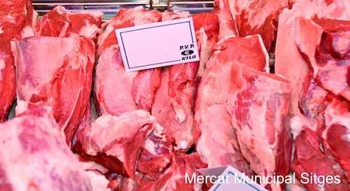 Images Gabal Carnica