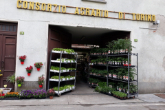 Images Novagri Garden