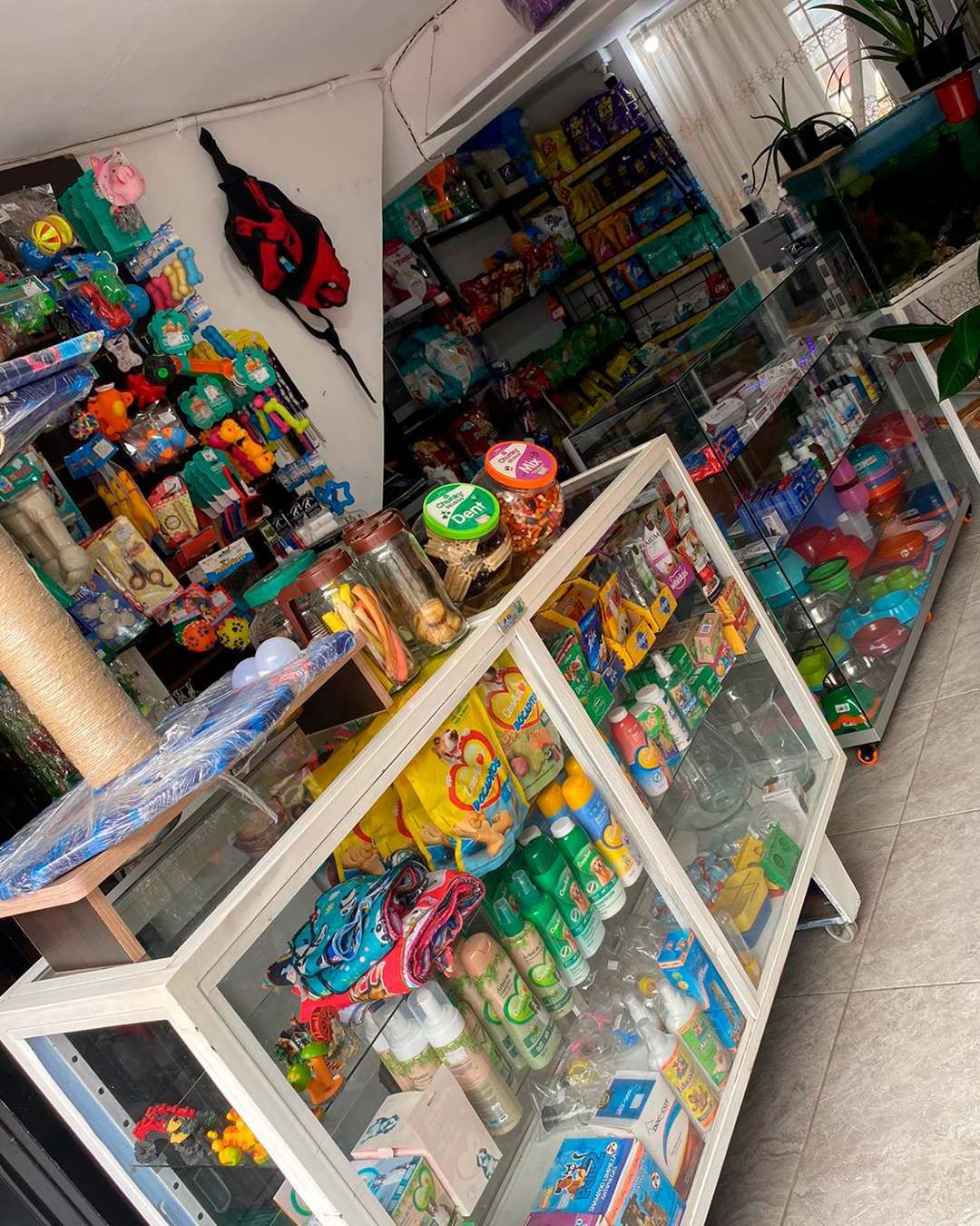 Galería en miniatura