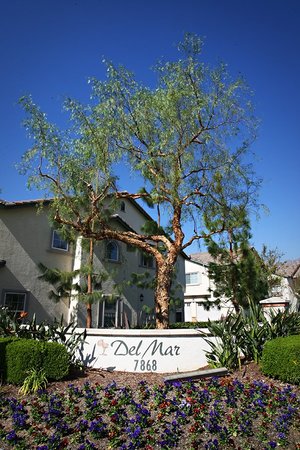 Images Del Mar Apartments