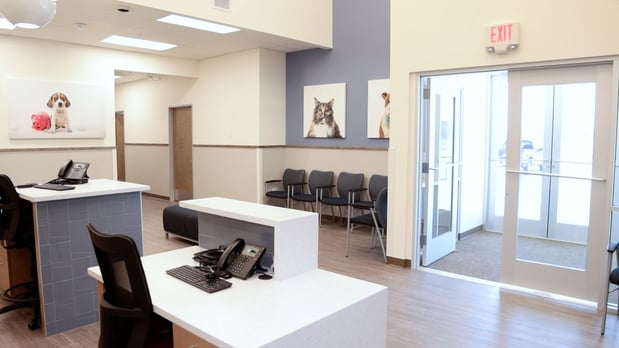 Images VCA Mainland Animal Hospital