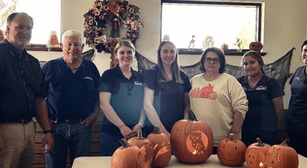 Images Chaparral Veterinary Center, P.C.