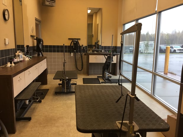 Images Petco Grooming