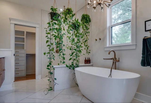 Images Andreas Mueller - Keller Williams Realty