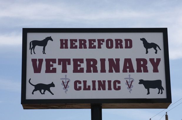 Images Hereford Veterinary Clinic