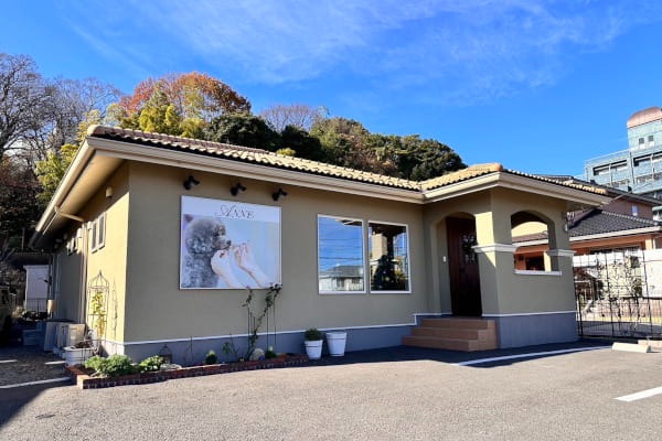 Images わんわんスタイルANNE