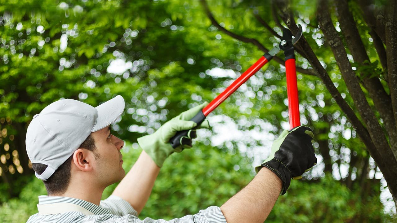 Hans Rudy Landscaping &amp; Lawn Maintenance Logo