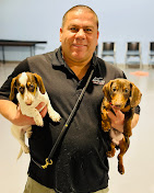 Images Pawsitive Dog Training by Juan Velarde