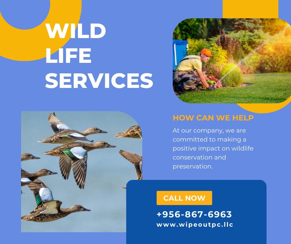 Wipe Out Pest Control LLC, Edinburg, TX MapQuest