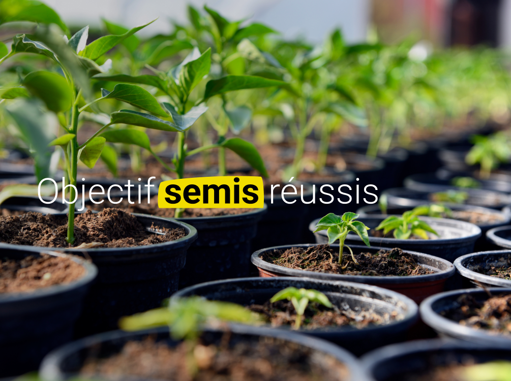 Tout pour réussir vos semis, dès la première graine