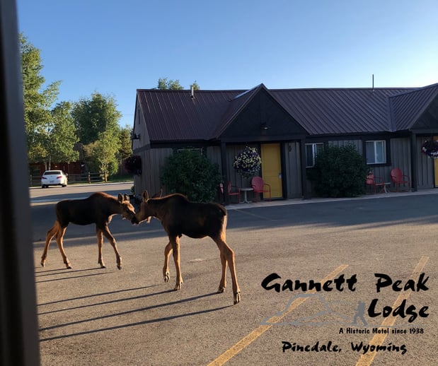 Images Gannett Peak Lodge