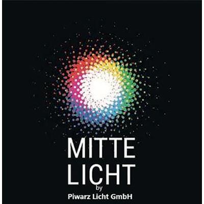 Piwarz Licht GmbH Logo