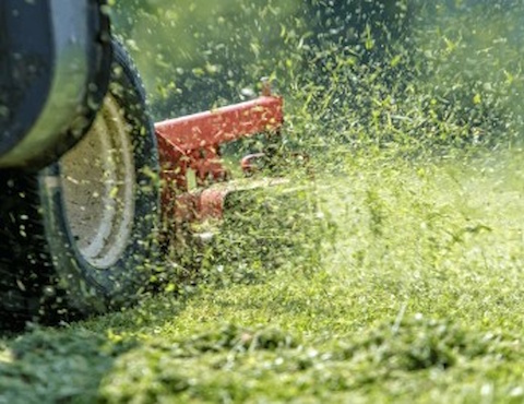 Tidy Guy Home and Garden Maintenance 3