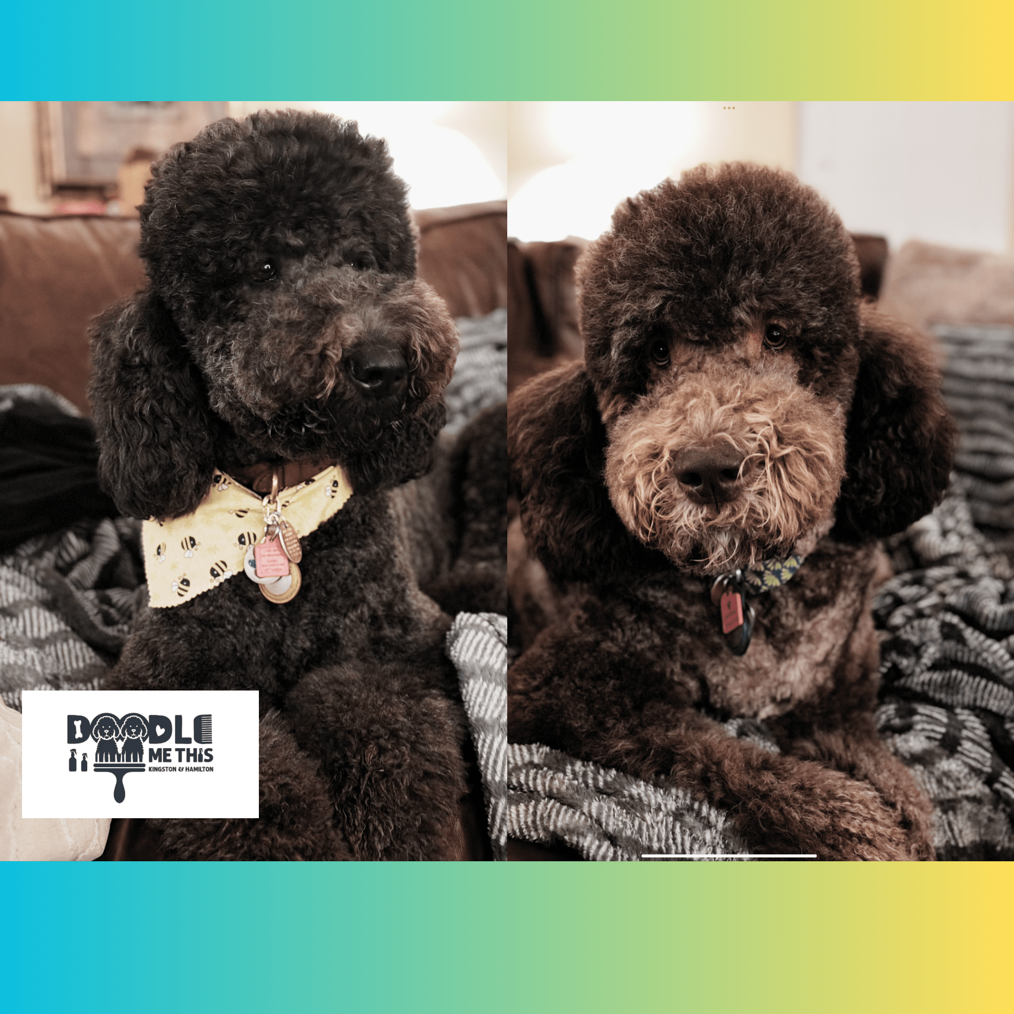 Doodle Me This Kingston and Hamilton LLC Image