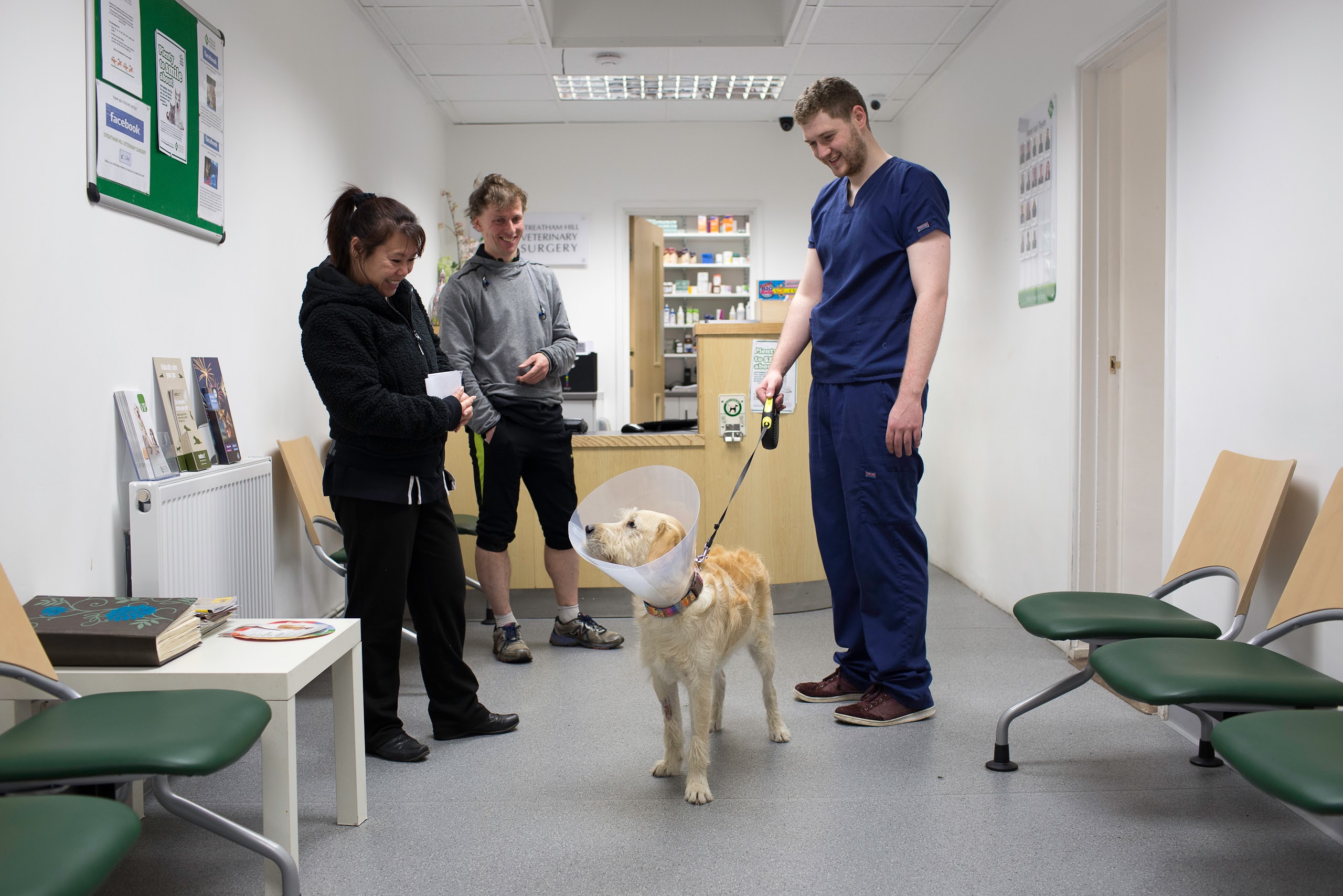 Images Streatham Hill Veterinary Surgery