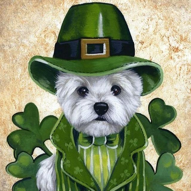 Lucky Puppy Grooming