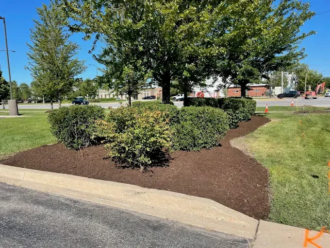 Landscaping work done for a commercial project
