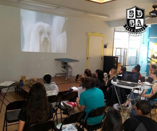 Images San Diego Grooming Academy