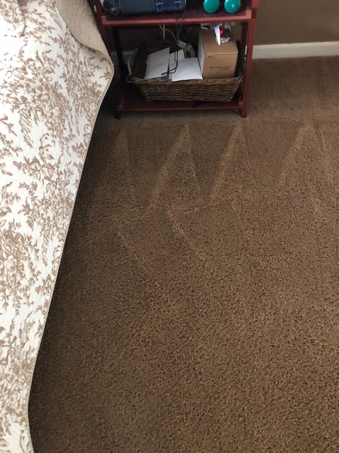 Carpet stain removal in Upland/Rancho