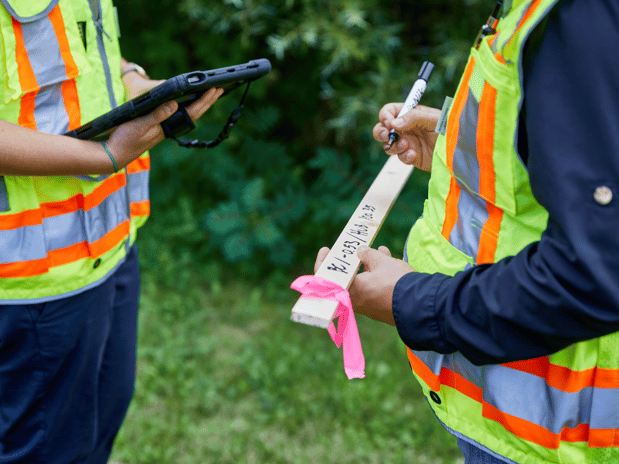 Images Westwood Professional Services