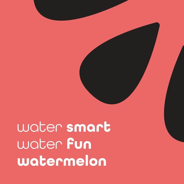 Images Watermelon Swim - Wesley Chapel