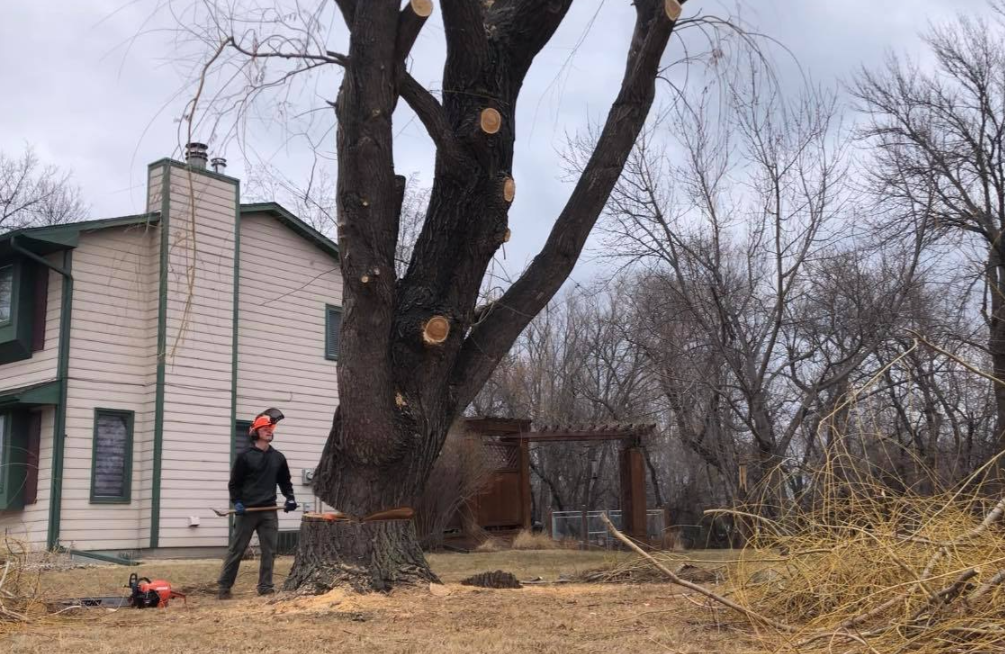 Jake's Tree Service Image