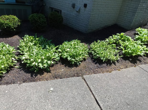 Images MRK Landscaping & Snowplowing