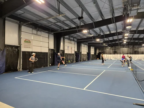 Images Dinkers Indoor Pickleball