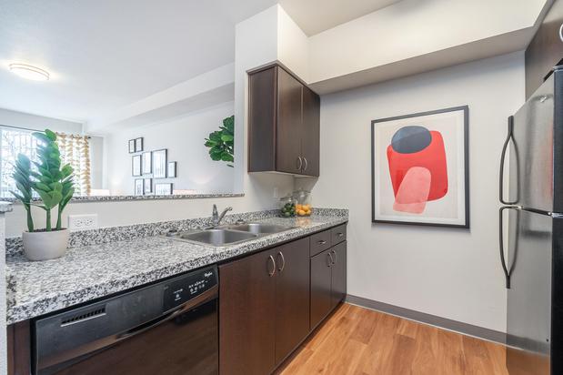 Images The Patterson Social Apartments