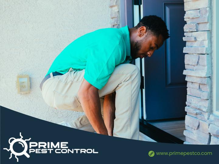 Images Prime Pest Control Las Vegas