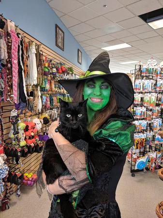 Images Paws & Fins Pet Shop