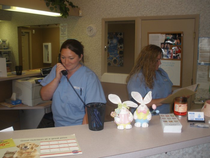 Image 6 | VCA Briarcliff Animal Hospital