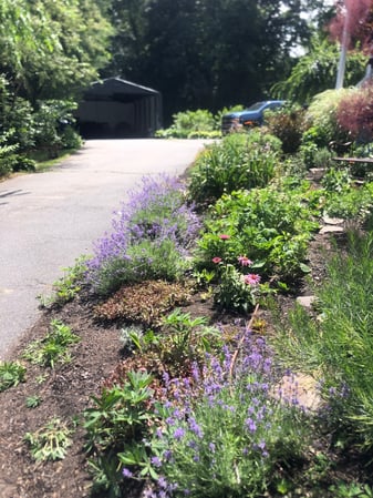 Images Greenleaf’s Garden Design