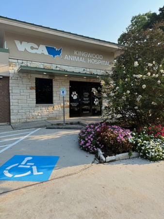 Images VCA Kingwood Animal Hospital