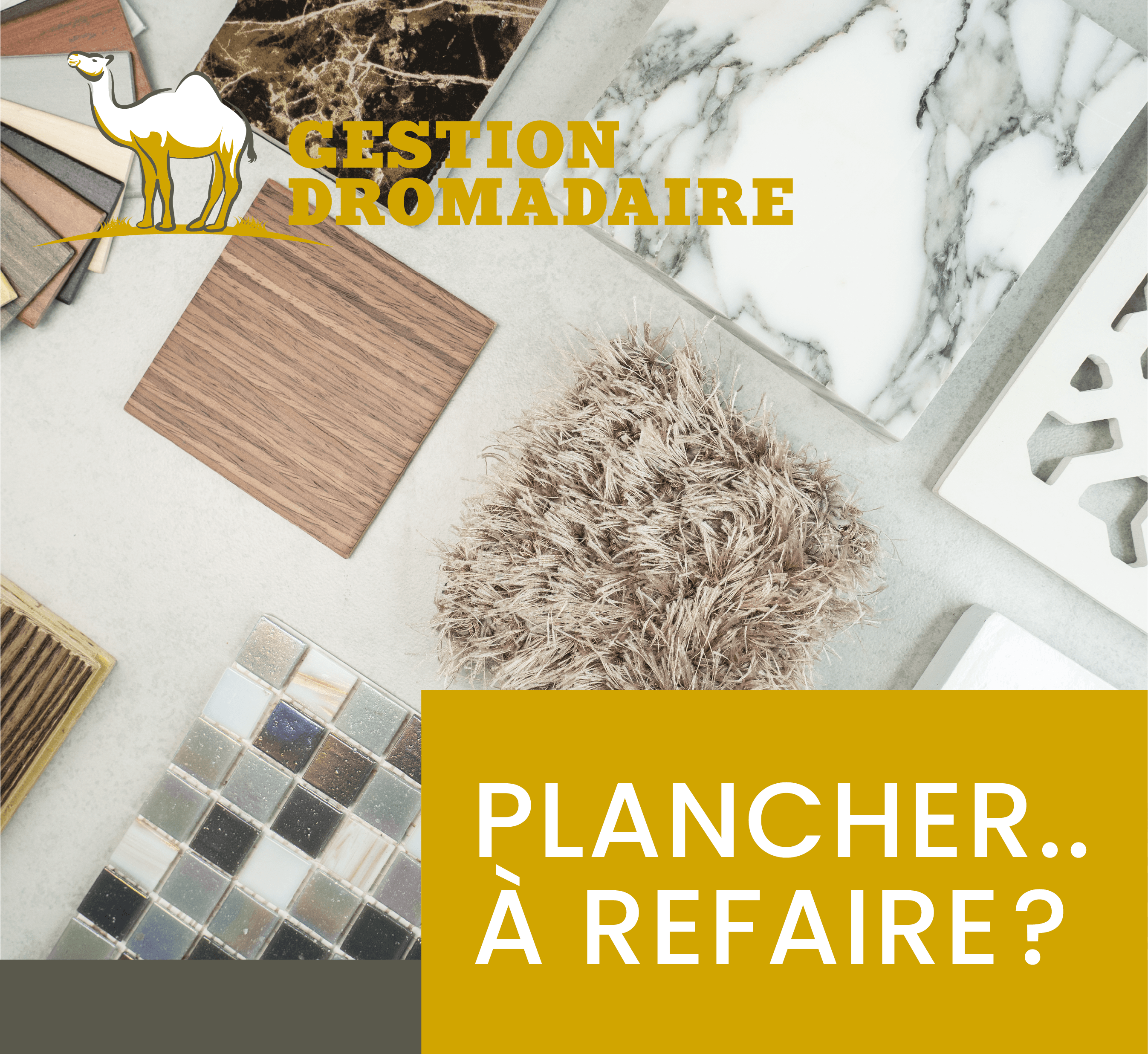 Images Gestion Dromadaire Inc