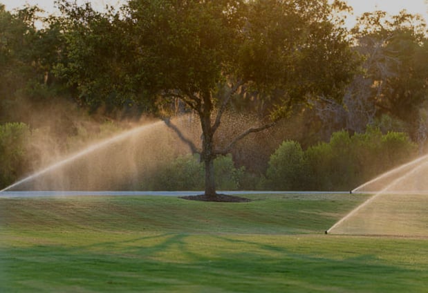 Images Mowtown Lawn and Landscape