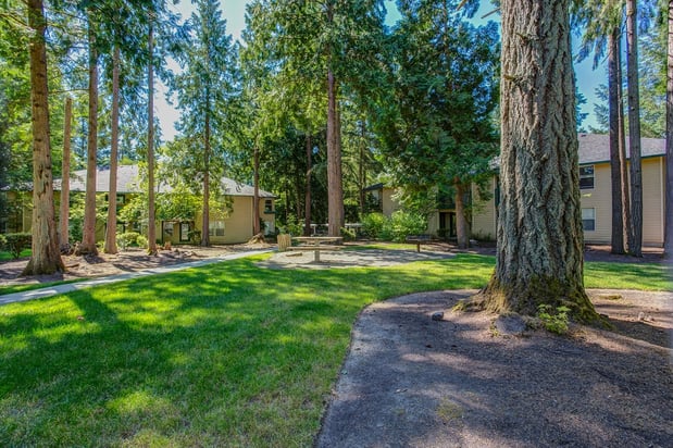 Images Commons at Creekside Apartments