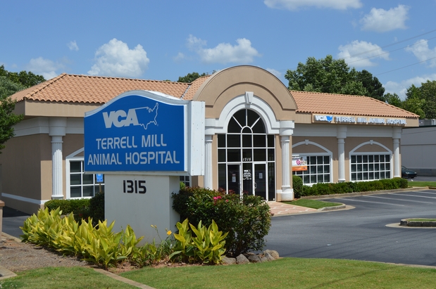 Images VCA Terrell Mill Animal Hospital