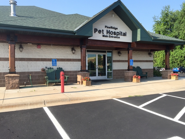 Images VCA PineRidge Animal Hospital