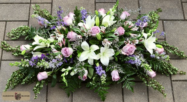 Images Harmonic Blooms