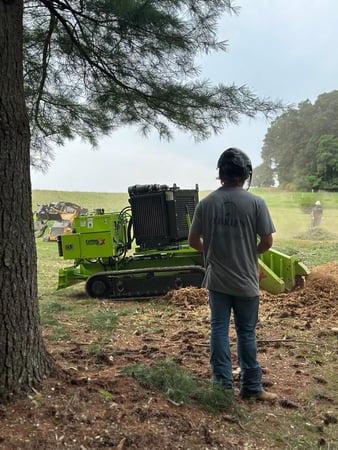 Images O'Brien Outdoors Tree Service