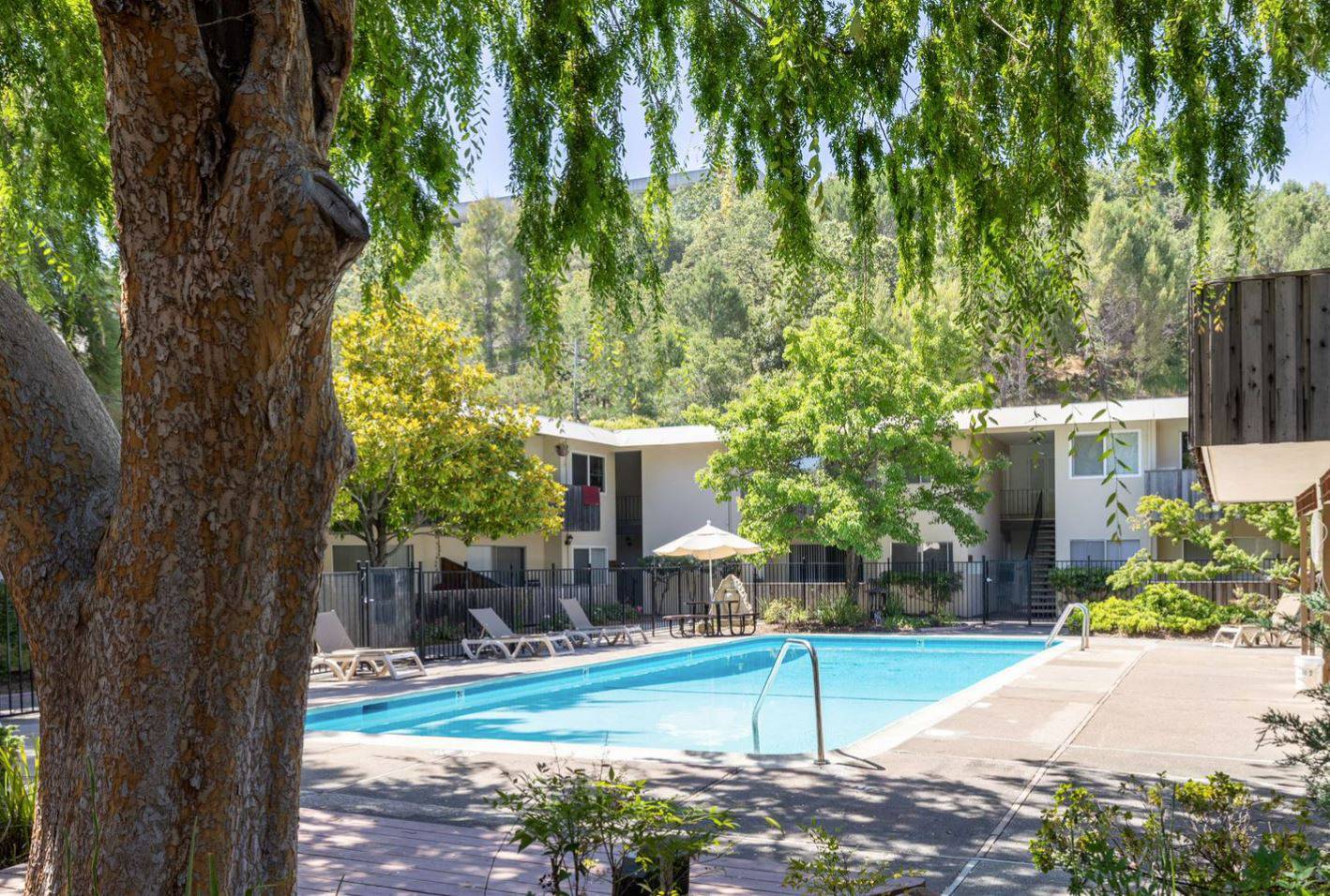A swimming pool surrounded by trees and chairs.