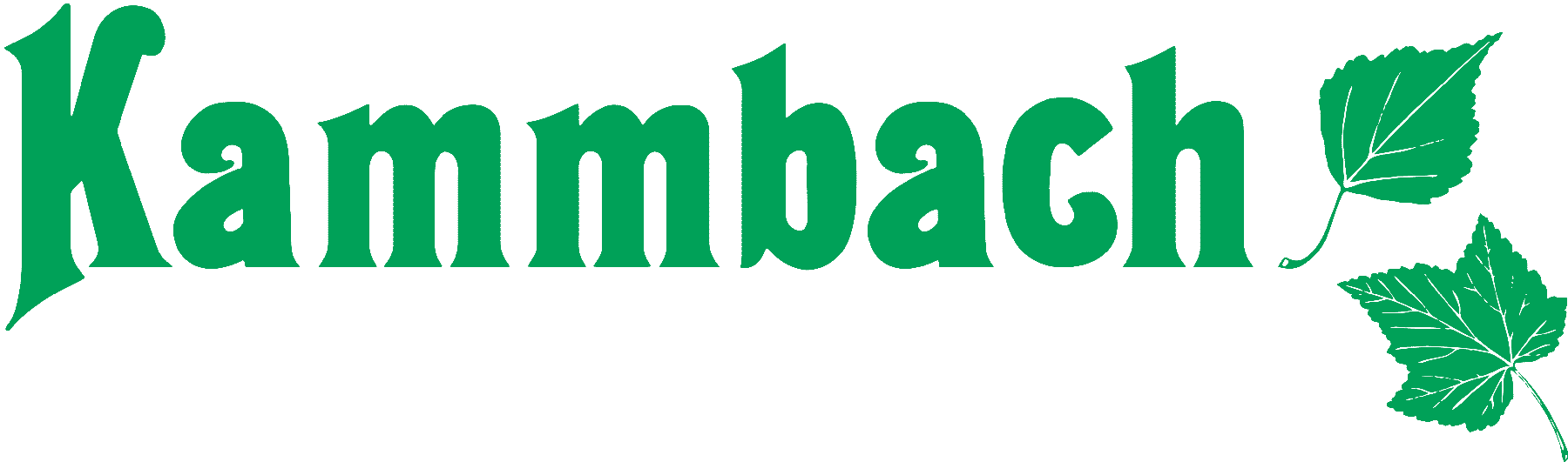 Ralf Kammbach Baumschule-Pflanzenhandel in Kloster Veßra - Logo
