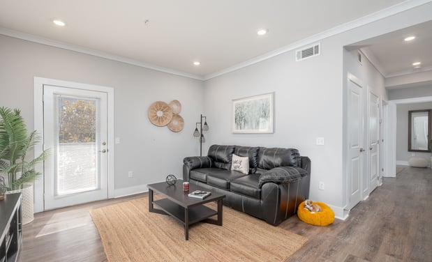 Images Paragon Luxury Apartments