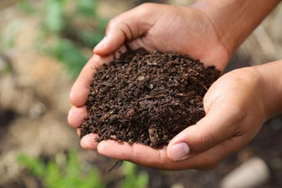 Images Hortiplan Outaouais inc paysagiste