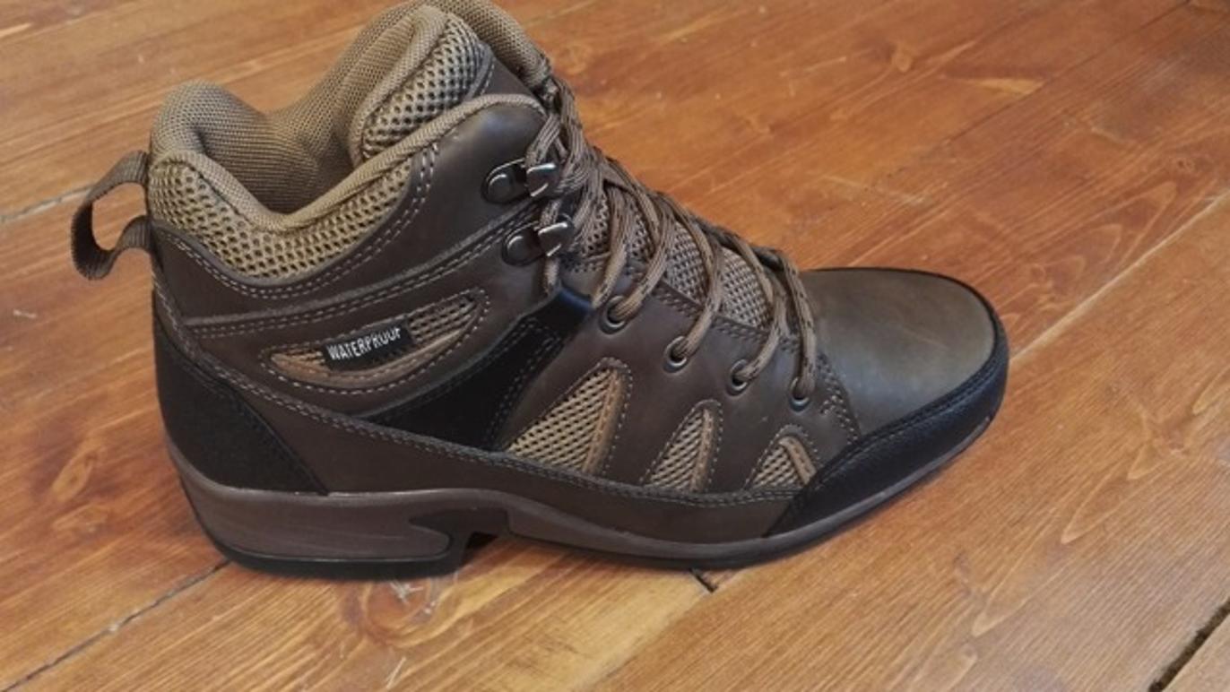 Images Ingvallstorp Häst och Fritid